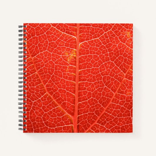Autumnal Leaf Notitieboek (Voorkant)