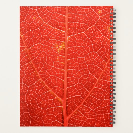 Autumnal Leaf Planner (Achterkant)