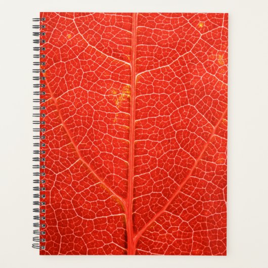 Autumnal Leaf Planner (Voorkant)