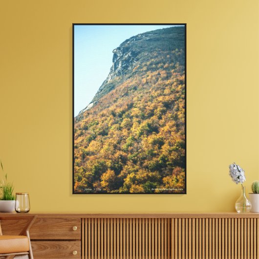 Autumn's Deken Canvas Afdruk (Insitu (Woonkamer))