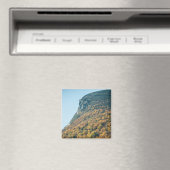 Autumn's Deken Magneet (Insitu (Vaatwasser))