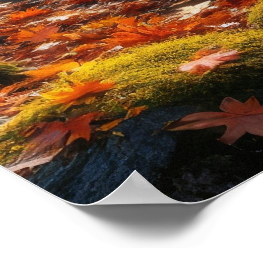 Autumn's Gentle Symphony Poster (Hoek)