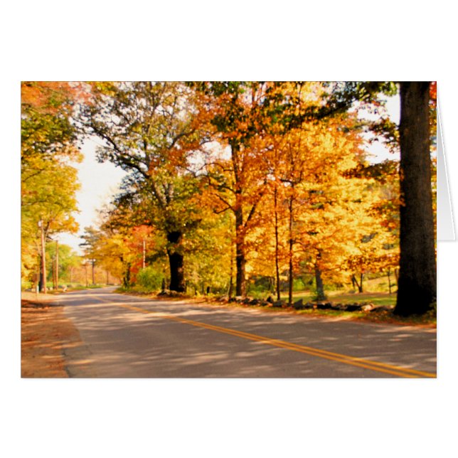 AUTUMNS GLEAM (Voorkant Horizontaal)