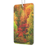 AUTUMNS GLORY LUCHTVERFRISSER (Links)