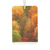 AUTUMNS GLORY LUCHTVERFRISSER (Achterkant)