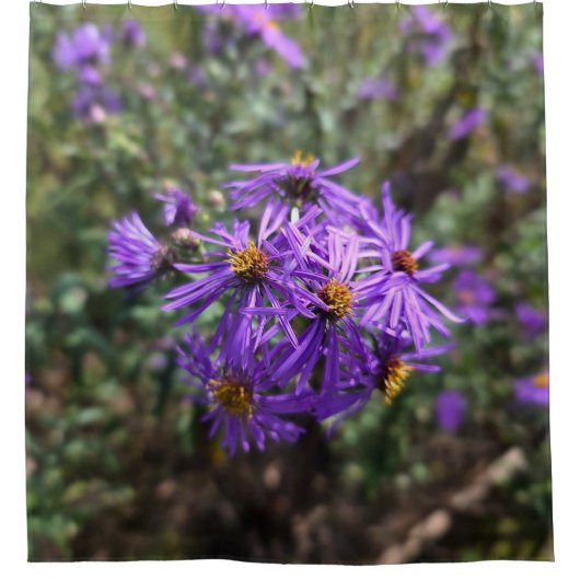 Autumn's Purple Glow Douchegordijn (Voorkant)