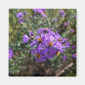 Autumn's Purple Glow Magneet (Voorkant)