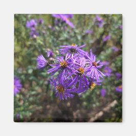 Autumn's Purple Glow Magneet