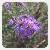 Autumn's Purple Glow Vierkante Sticker (Voorkant)