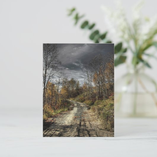 Autumns Road Briefkaart (Staand voorkant)