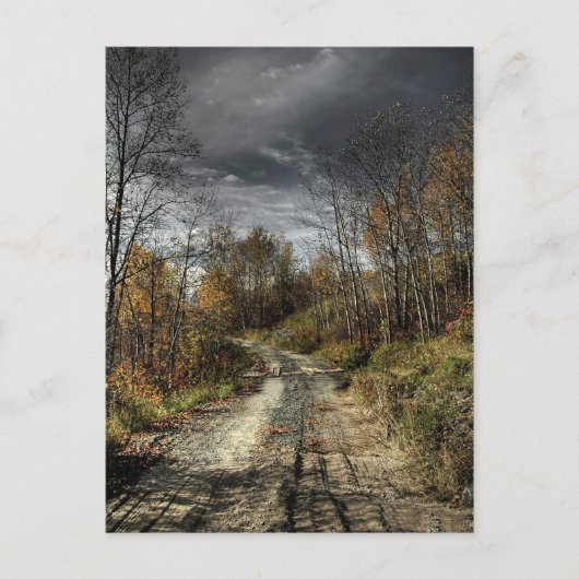 Autumns Road Briefkaart (Voorkant)