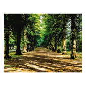 Autumn's Tree-Lined Tunnel Foto Afdruk (Voorkant)