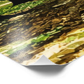 Autumn's Tree-Lined Tunnel Foto Afdruk (Hoek)