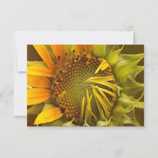 Autumns Warmth Sunflower Note Kaart (Voorkant)