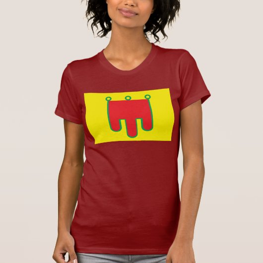 Auvergne Flag T-shirt (Voorkant)