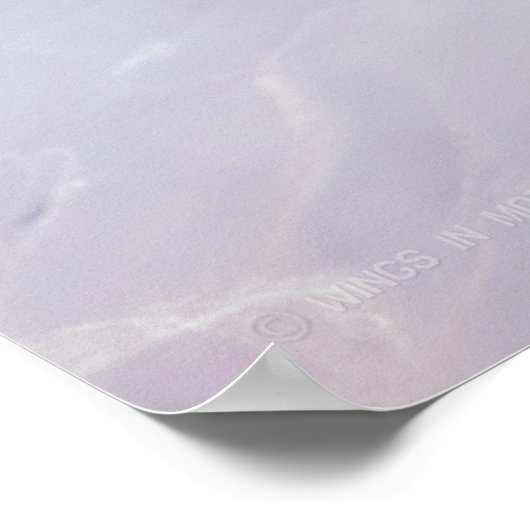 AV-8B HARRIER II POSTER (Hoek)