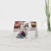 Ava-briefkaarten Kaart (Achterkant)