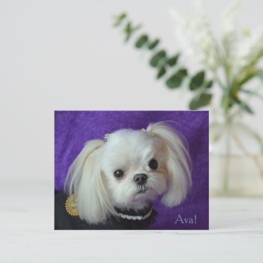 Ava Note cards Kaart (Staand voorkant)