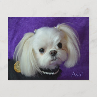 Ava Note cards Kaart
