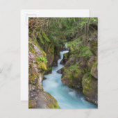 Avalanche Creek, Glacier National Park, Montana Briefkaart (Voorkant / Achterkant)