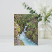 Avalanche Creek, Glacier National Park, Montana Briefkaart (Staand voorkant)