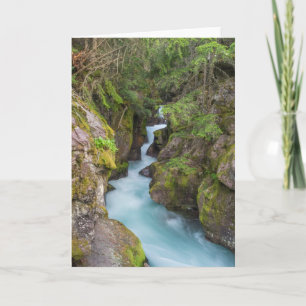 Avalanche Creek, Glacier National Park, Montana Kaart