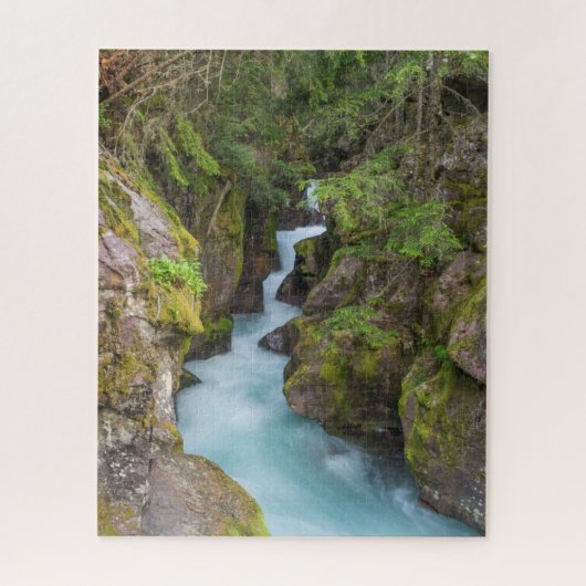 Avalanche Creek, Glacier National Park, Montana Legpuzzel (Verticaal)