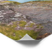 Avalanche Creek, Glacier National Park, Montana Poster (Hoek)