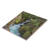 Avalanche Creek, Glacier National Park, Montana Tegeltje (Zijkant)