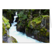 Avalanche Gorge I in Glacier National Park (Voorkant Horizontaal)