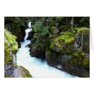 Avalanche Gorge I in Glacier National Park