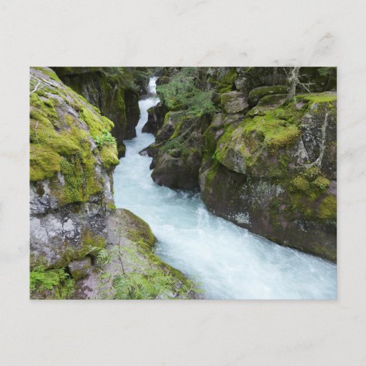 Avalanche Gorge I in Glacier National Park Briefkaart (Voorkant)