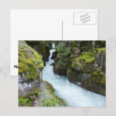 Avalanche Gorge I in Glacier National Park Briefkaart (Voorkant / Achterkant)