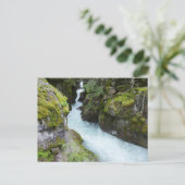 Avalanche Gorge I in Glacier National Park Briefkaart (Staand voorkant)