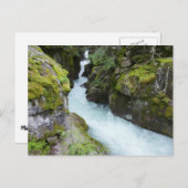 Avalanche Gorge I in Glacier National Park Briefkaart (Voorkant / Achterkant)