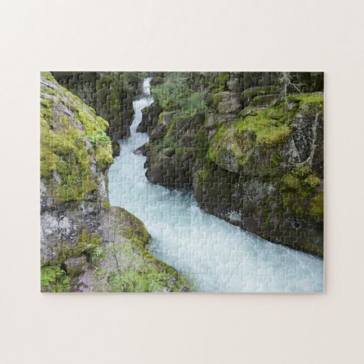 Avalanche Gorge I in Glacier National Park Legpuzzel (Horizontaal)