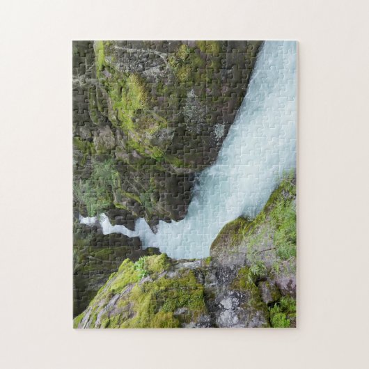 Avalanche Gorge I in Glacier National Park Legpuzzel (Verticaal)