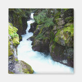 Avalanche Gorge I in Glacier National Park Magneet (Voorkant)