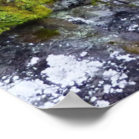 Avalanche Gorge I in Glacier National Park Poster (Hoek)