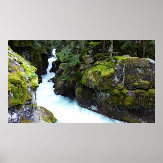 Avalanche Gorge I in Glacier National Park Poster (Voorkant)