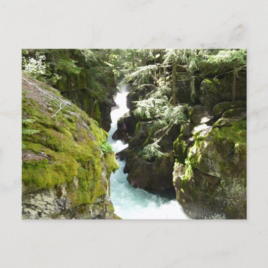 Avalanche Gorge II in Glacier National Park Briefkaart (Voorkant)