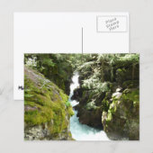 Avalanche Gorge II in Glacier National Park Briefkaart (Voorkant / Achterkant)