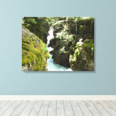 Avalanche Gorge II in Glacier National Park Canvas Afdruk (Insitu (Houten vloer))