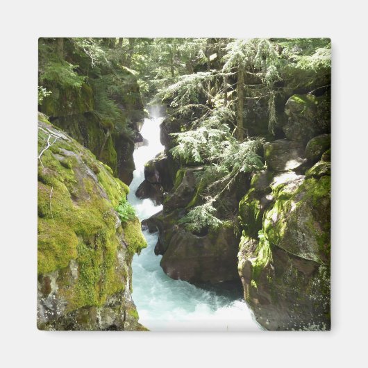 Avalanche Gorge II in Glacier National Park Magneet (Voorkant)