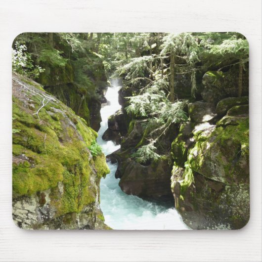 Avalanche Gorge II in Glacier National Park Muismat (Voorkant)