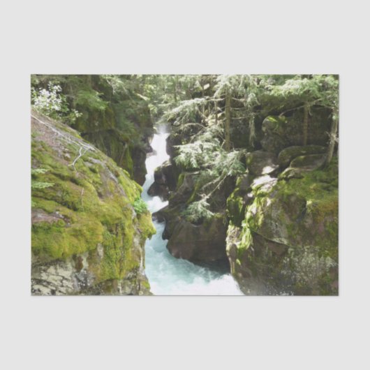 Avalanche Gorge II in Glacier National Park Tissuepapier (Voorkant)