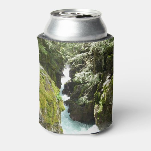 Avalanche Gorge II in het Nationaal Park Glacier Blikjeskoeler (Blikje Achterkant)