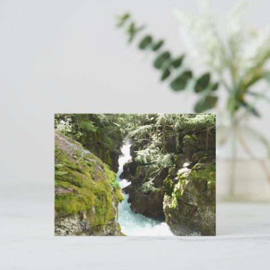 Avalanche Gorge II in het Nationaal Park Glacier Briefkaart (Staand voorkant)