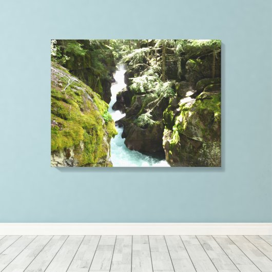 Avalanche Gorge II in het Nationaal Park Glacier Canvas Afdruk (Insitu (Houten vloer))