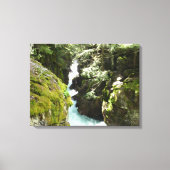 Avalanche Gorge II in het Nationaal Park Glacier Canvas Afdruk (Voorkant)